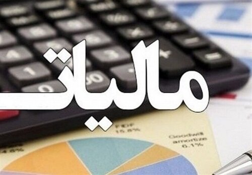 رونمایی از یک مالیات جدید در ایران/ سبحانیان: زیرساخت‌های اجرای قانون مالیات بر سوداگری و سفته‌بازی اماده است
